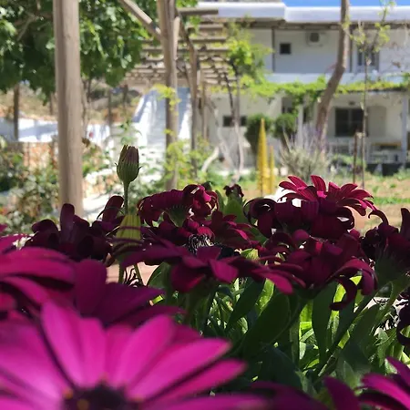 Mersini Guest house *